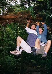 83 bosque Monteverde.jpg